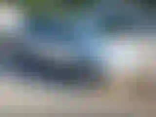 Vehicle Image- 2015 Ford Escape