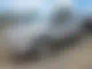 Vehicle Image- 2016 Ford Escape