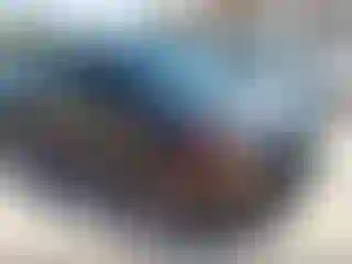 Vehicle Image- 2019 Ford Escape