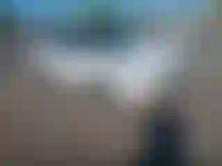 Vehicle Image- 2014 Ford Escape