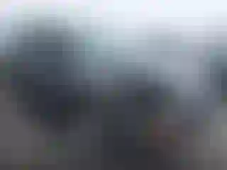 Vehicle Image- 2014 Ford Escape