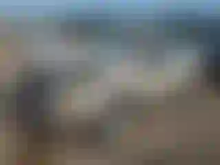 Vehicle Image- 2017 Ford Escape