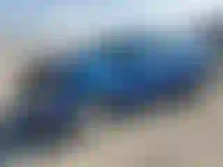 Vehicle Image- 2018 Ford Escape
