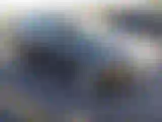 Vehicle Image- 2019 Ford Escape