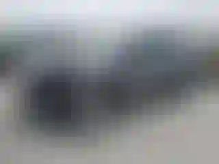 Vehicle Image- 2023 Ford Escape