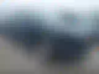 Vehicle Image- 2020 Ford Escape