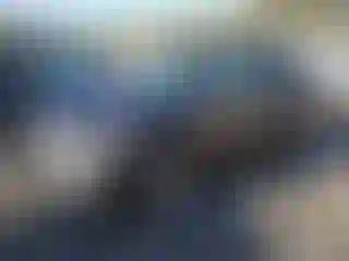 Vehicle Image- 2020 Ford Escape