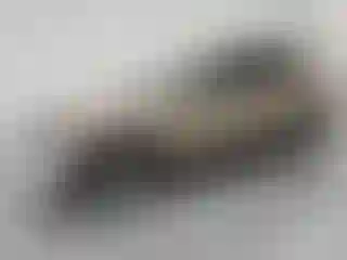Vehicle Image- 2020 Ford Escape