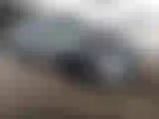 Vehicle Image- 2022 Ford Escape