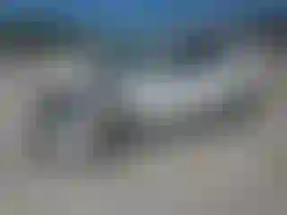 Vehicle Image- 2020 Ford Escape