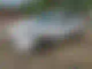 Vehicle Image- 2021 Ford Escape