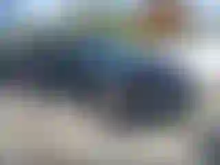 Vehicle Image- 2021 Ford Escape