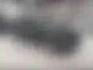 Vehicle Image- 2020 Ford Escape