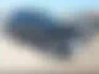 Vehicle Image- 2020 Ford Escape