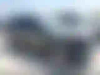 Vehicle Image- 2020 Ford Escape