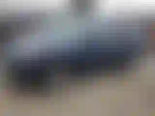 Vehicle Image- 2020 Ford Escape