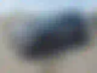 Vehicle Image- 2021 Ford Escape