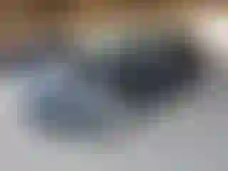 Vehicle Image- 2022 Ford Escape