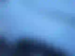 Vehicle Image- 2020 Ford Escape
