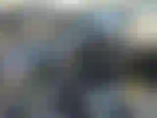 Vehicle Image- 2020 Ford Escape