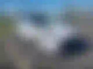 Vehicle Image- 2020 Ford Escape
