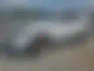 Vehicle Image- 2020 Ford Escape