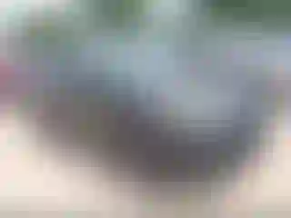 Vehicle Image- 2022 Ford Escape