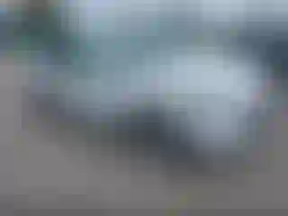 Vehicle Image- 2020 Ford Escape