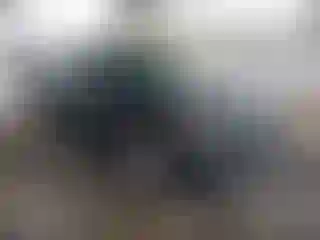 Vehicle Image- 2020 Ford Escape