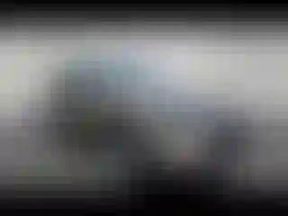 Vehicle Image- 2020 Ford Escape