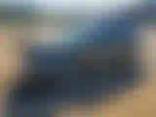 Vehicle Image- 2020 Ford Escape