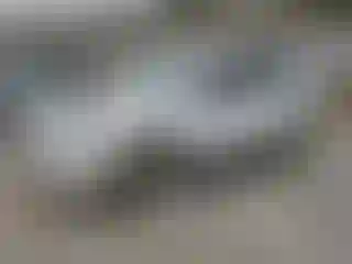 Vehicle Image- 2022 Ford Escape