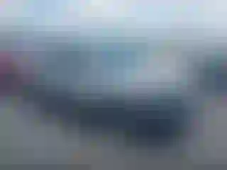 Vehicle Image- 2020 Ford Escape