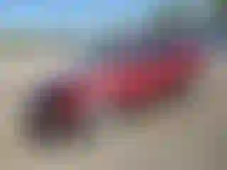 Vehicle Image- 2015 Ford Escape