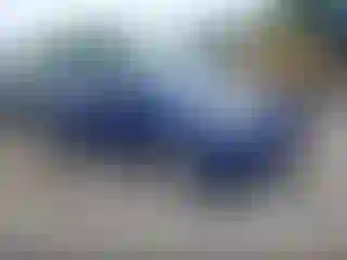 Vehicle Image- 2016 Ford Escape