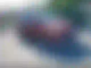 Vehicle Image- 2015 Ford Escape