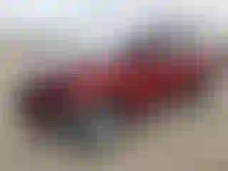 Vehicle Image- 2016 Ford Escape