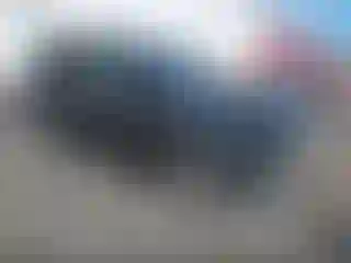 Vehicle Image- 2015 Ford Escape