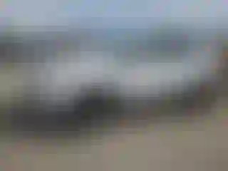 Vehicle Image- 2015 Ford Escape