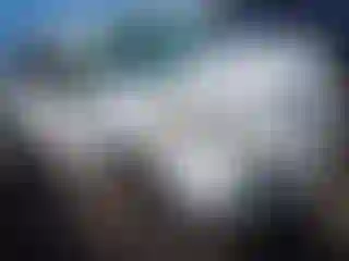 Vehicle Image- 2015 Ford Escape