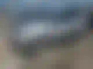 Vehicle Image- 2015 Ford Escape