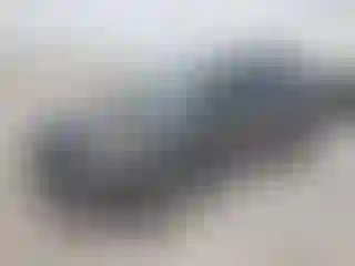 Vehicle Image- 2015 Ford Escape