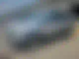 Vehicle Image- 2016 Ford Escape
