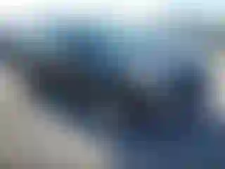 Vehicle Image- 2014 Ford Escape