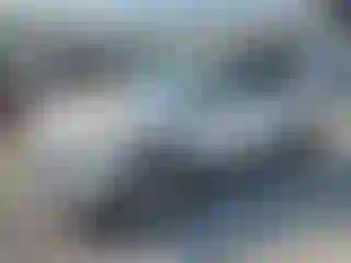 Vehicle Image- 2014 Ford Escape