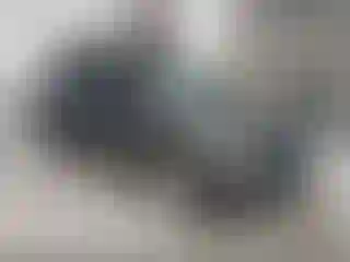 Vehicle Image- 2017 Ford Escape