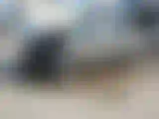 Vehicle Image- 2014 Ford Escape