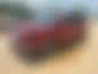 Vehicle Image- 2017 Ford Escape