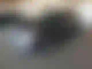 Vehicle Image- 2017 Ford Escape