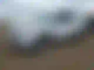 Vehicle Image- 2013 Ford Escape